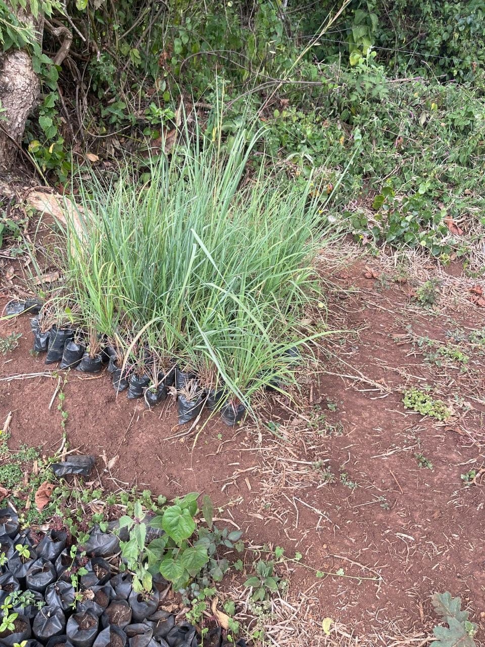 A field visit in the catchment