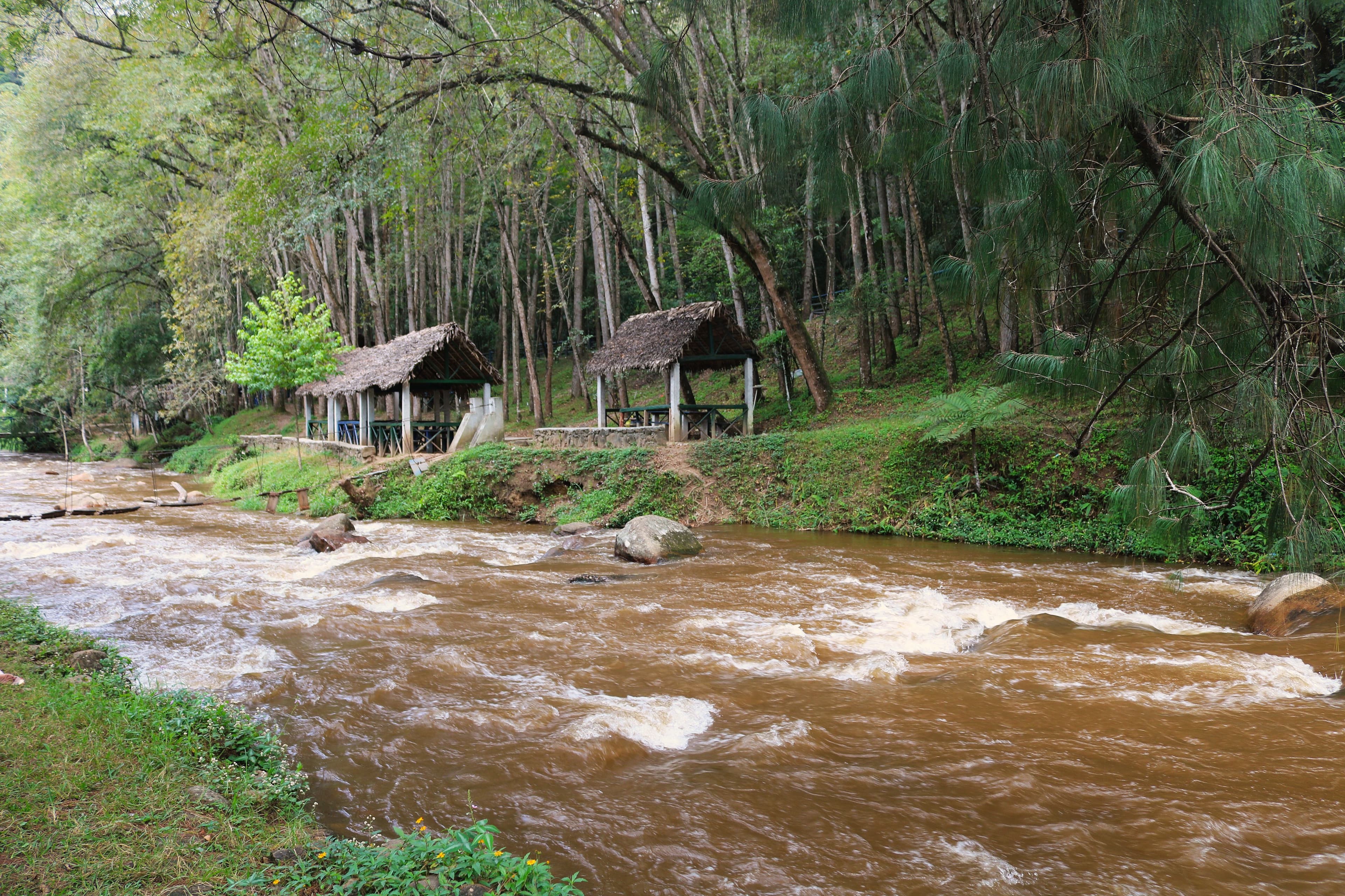 Landscape view of the restoration area