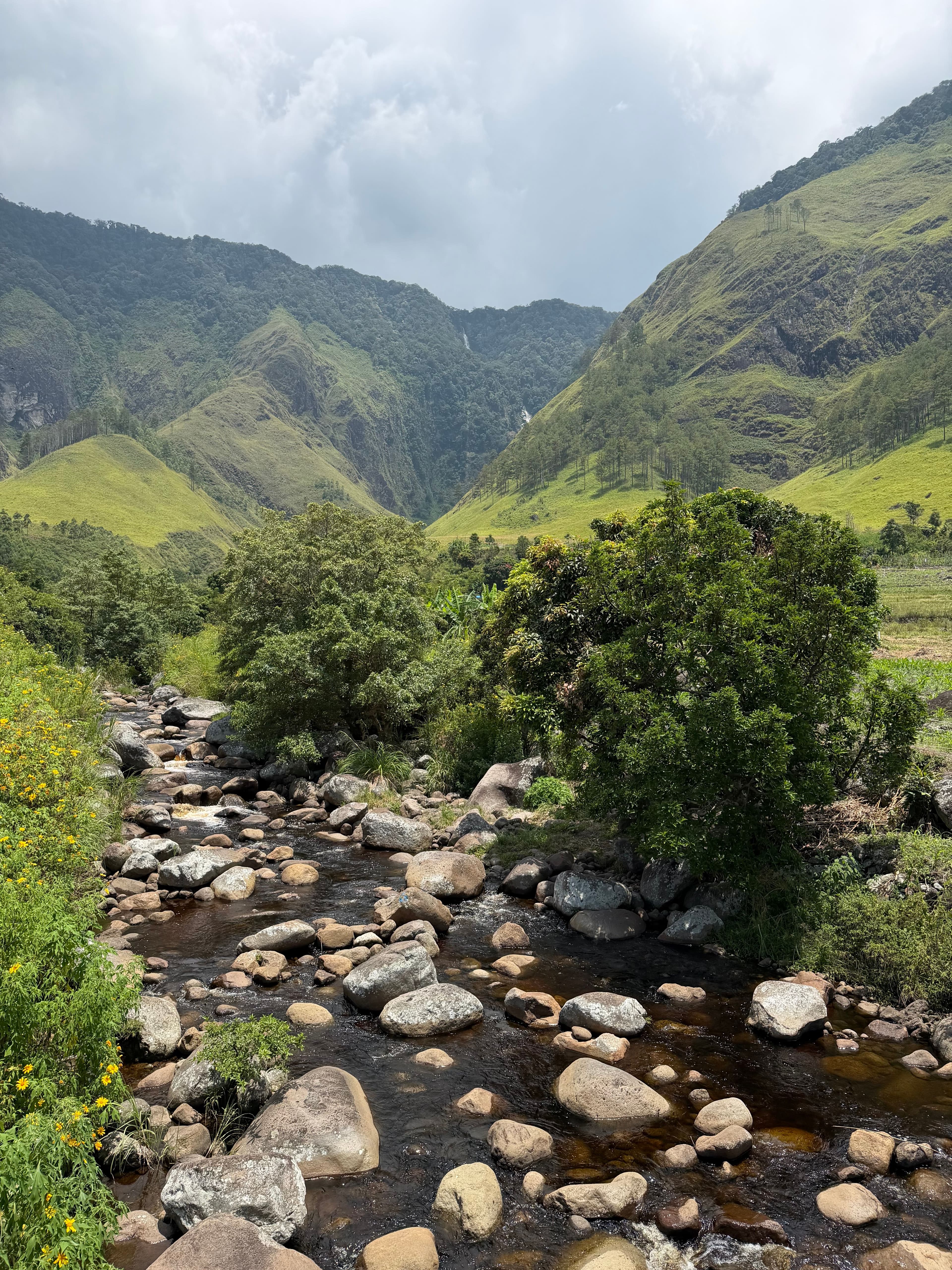 Natural landscape in Kenya